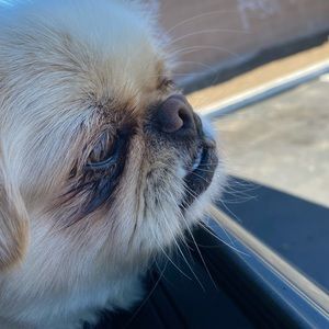 Meet your Posher, Viviana